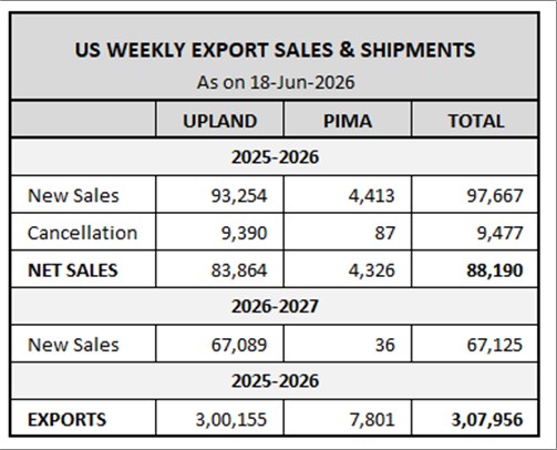 U.S. EXPORT SALES
